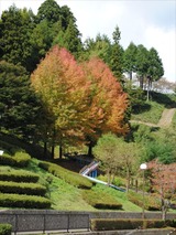 02公園_R