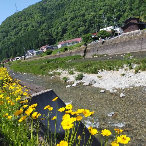 IMG_20210601_074727_003