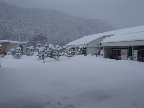01雪 (2)