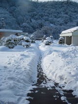 今日の匹見