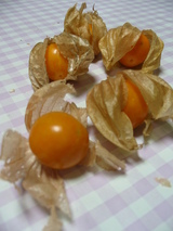 ¤Û¤ª¤º¤