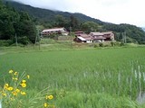 土居ランド
