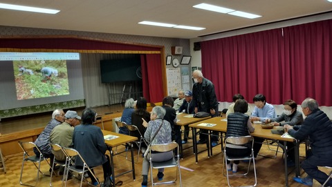 IMG20241117104717