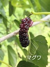 17470