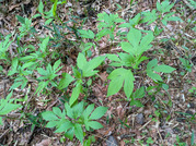 PXL_20260504_091311954