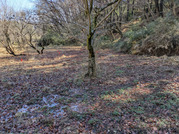 PXL_20260304_013903998