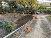 PXL_20251124_005644332