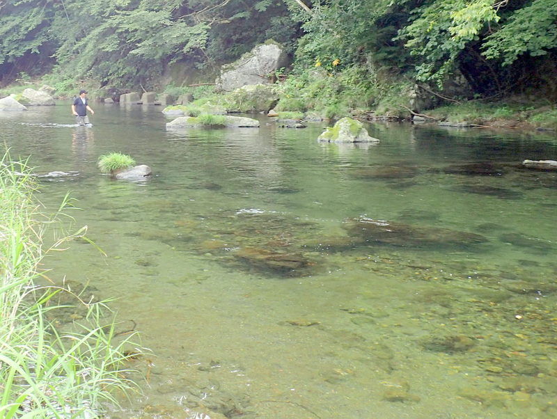 川の中のいきもの調べ ９月１６日 岩殿満喫クラブ 岩殿 day by day