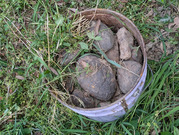 PXL_20260419_074005327