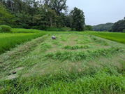 PXL_20260728_042722851
