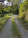 PXL_20260729_080133603