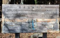 PXL_20251222_025123423