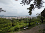 PXL_20260704_063548381