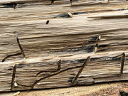 FA367A1F-1DCC-4CE8-9148-922D8C4FE7DC