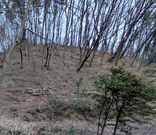 PXL_20260224_075409616