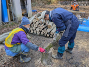 PXL_20260222_011201597