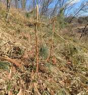 PXL_20260130_014535018