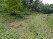 PXL_20260508_023804178