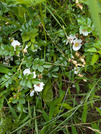 PXL_20260624_031304241
