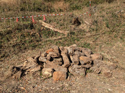 PXL_20251208_024747682