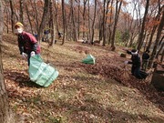 DSCPDC_0001_BURST20191215113438102