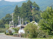 DSCN9292