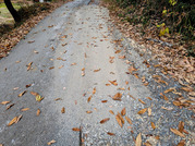 PXL_20251202_021330861