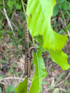 PXL_20260506_053103270
