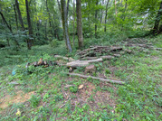 PXL_20260716_235311004