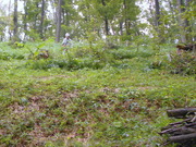 DSCN0217