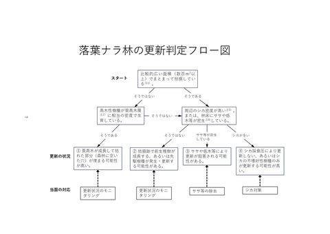ナラ枯れ跡地の広葉樹林更新_4