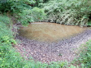 DSCN6624
