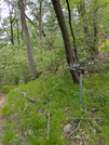 PXL_20260511_042059697