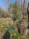 PXL_20260301_041856229
