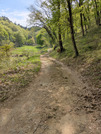 PXL_20260413_050138919-001