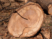 PXL_20260308_023050402