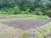 DSC09751