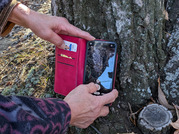 PXL_20251129_025908630