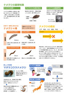 ナメクジとあなたで始める新しい科学201708_1