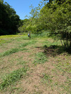 PXL_20260510_014855252