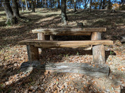 PXL_20251124_034010605