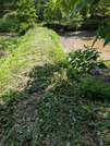 PXL_20260515_034752189