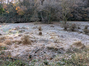 PXL_20251205_234156652