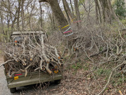 PXL_20260404_020301720