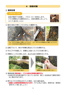 クビアカ（栃木県）_4