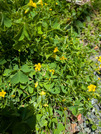 PXL_20260509_023022636