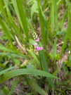 PXL_20260624_011323257