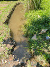 PXL_20260619_010506710