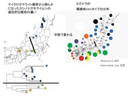 森林総研20110131プレスリリース_1