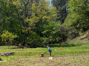 PXL_20260417_014133900